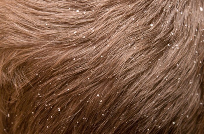 best hair salons in chennai